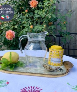 Bình thuỷ tinh tiệc có quai Pháp