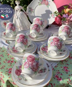 Bộ hồng bắp cải Duchess 1950s