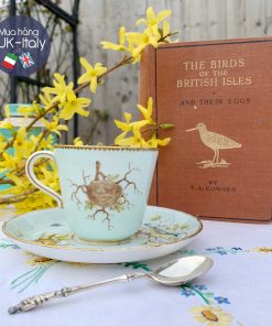 Bộ tách Duo Minton cổ vẽ tay chim và tổ chim