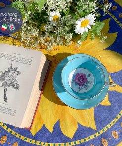 Duo Cabinet Paragon xanh da trời hiếm đẹp