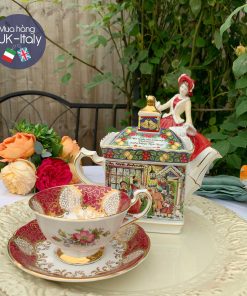 Duo Paragon Cabinet Đỏ hoa hồng đơn cánh