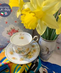 Bộ tách Duo Rosina tháng 3 hoa thuỷ tiên vàng