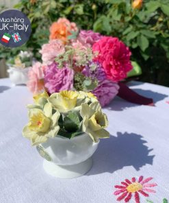 Hoa sứ Aynsley thuỷ tiên tháng 4 (L)