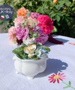 Hoa sứ oval Aynsley hoa nghệ tây (M)