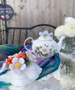 Ốc sứ berry và hồng đơn cánh to L