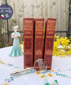 Bộ quý 3 cuốn hoa lá Wayside, Woodland Blossoms