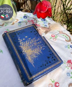 Sách quý The Birds