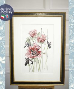 Tranh màu nước - Hoa poppy diên vỹ TB