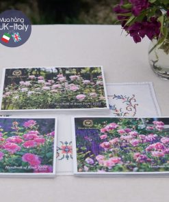 Sách hoa hồng David Austin