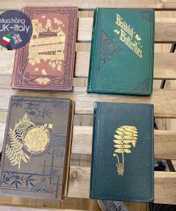 Sách về cây dương xỉ British Ferns (bìa xanh)