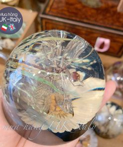 Chặn giấy chuồn chuồn