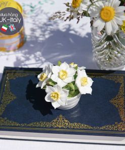 Hoa sứ Aynsley hoa thuỷ tiên trắng (L)