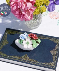 Hoa sứ hình ốc Aynsley