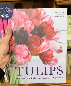 Sách hoa Tulip của Jane