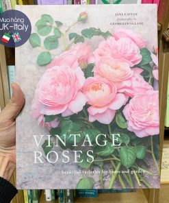 Sách hoa hồng xưa Vintage Roses