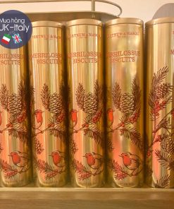 Bánh hộp to chim Robin