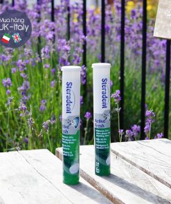 Viên rửa răng giả Steradent