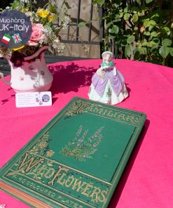 Sách cổ Familiar Wild Flowers hoa thạch thảo