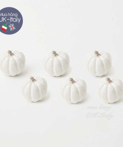 Bí trang trí bằng nhựa (2 lựa chọn)