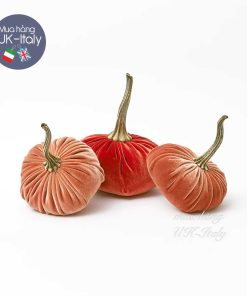 Bí trang trí bằng nhung (3 lựa chọn)