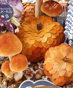 Bí trang trí cam lông