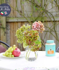 Bình hoa thuỷ tinh Elizabethan Kiểu 2