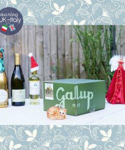 Bánh Panettone Galup Lê, Socola chip