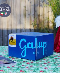 Bánh Panettone Galup truyền thống