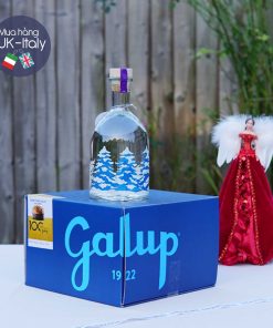 Gin Chanh UK tuyết, bale limited