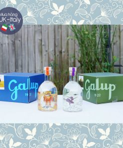 Set tiệc Gin & bánh Panettone Galup (3 lựa chọn)