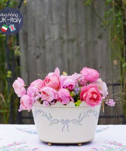 Chậu sắt Decor bày cây, cắm hoa trắng phân vẽ Ruy băng xanh