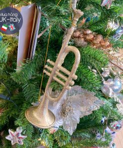 Kèn trumpet cỡ đại