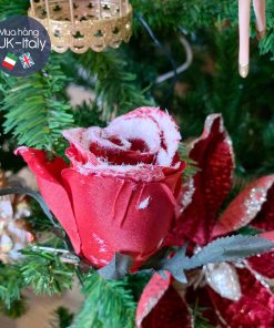 Hoa hồng đỏ phủ tuyết