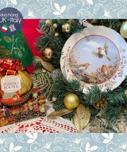 Đĩa bày chim Robin