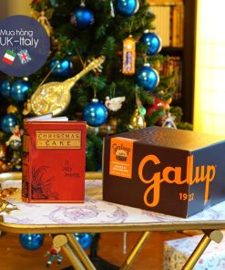 Galup Chocolate chip