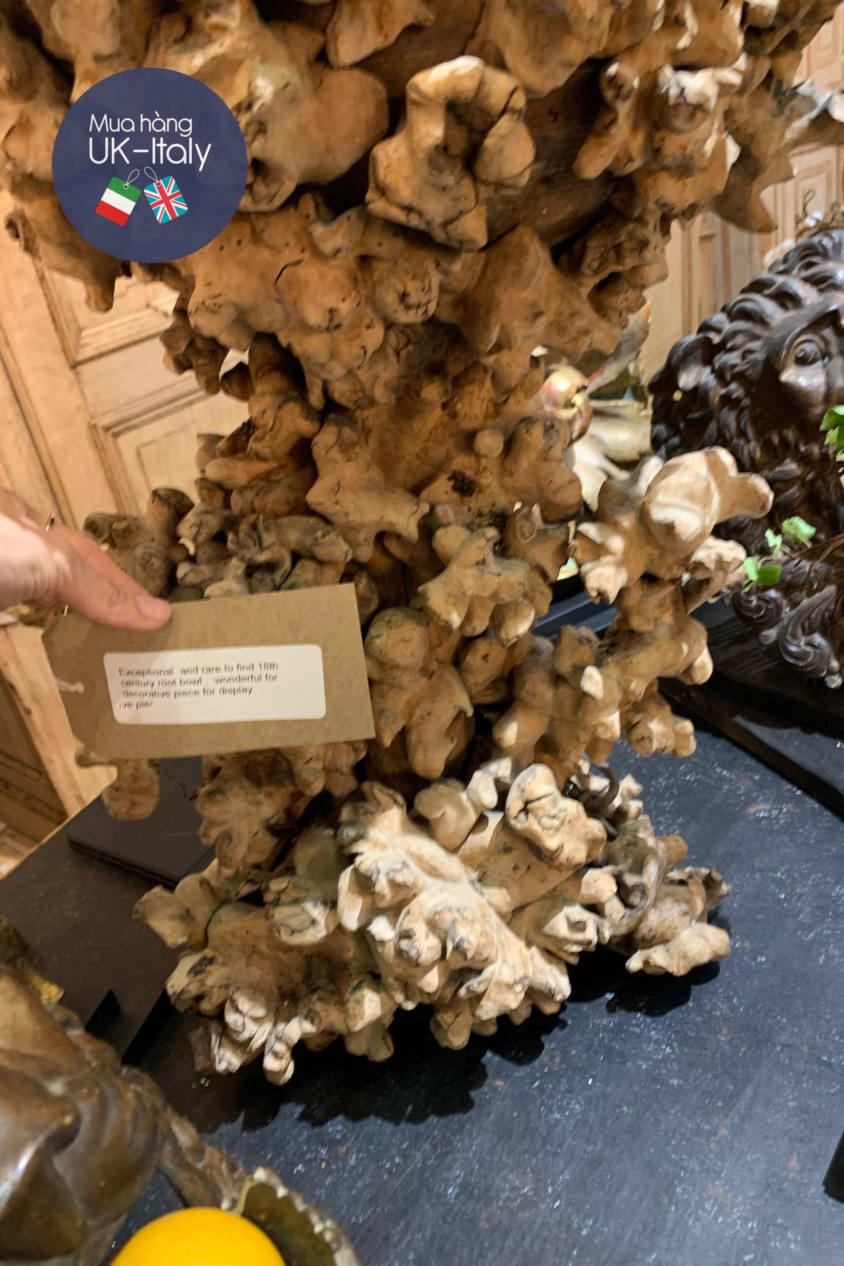 Mâm đựng hoa quả rễ gỗ cây thế kỉ 18