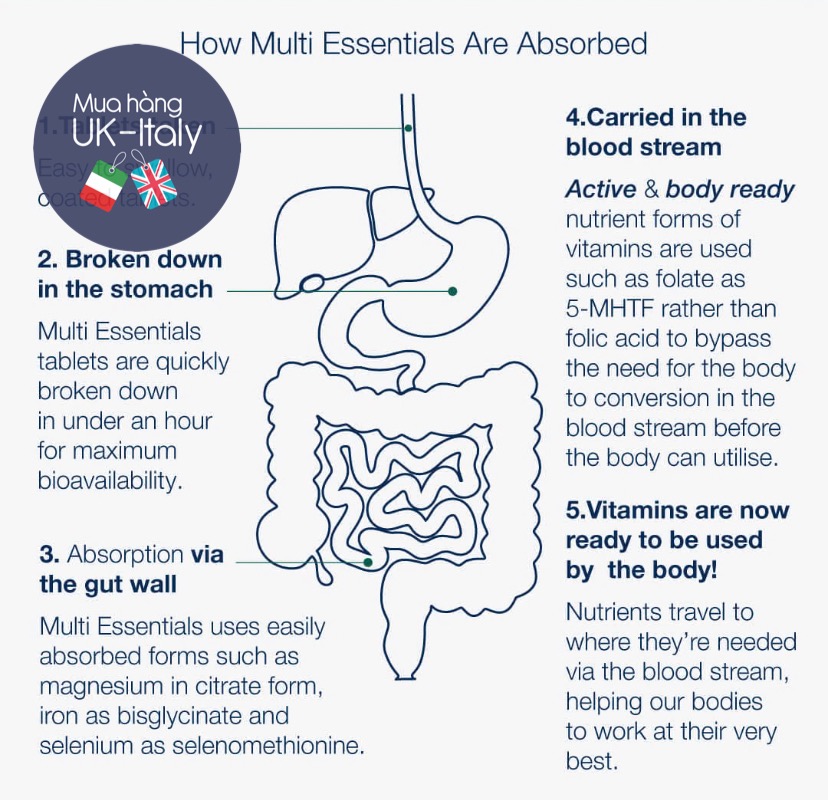 Vitamin tổng hợp thiết yếu cho nữ Metagenics (x pack 3 lọ 60v)